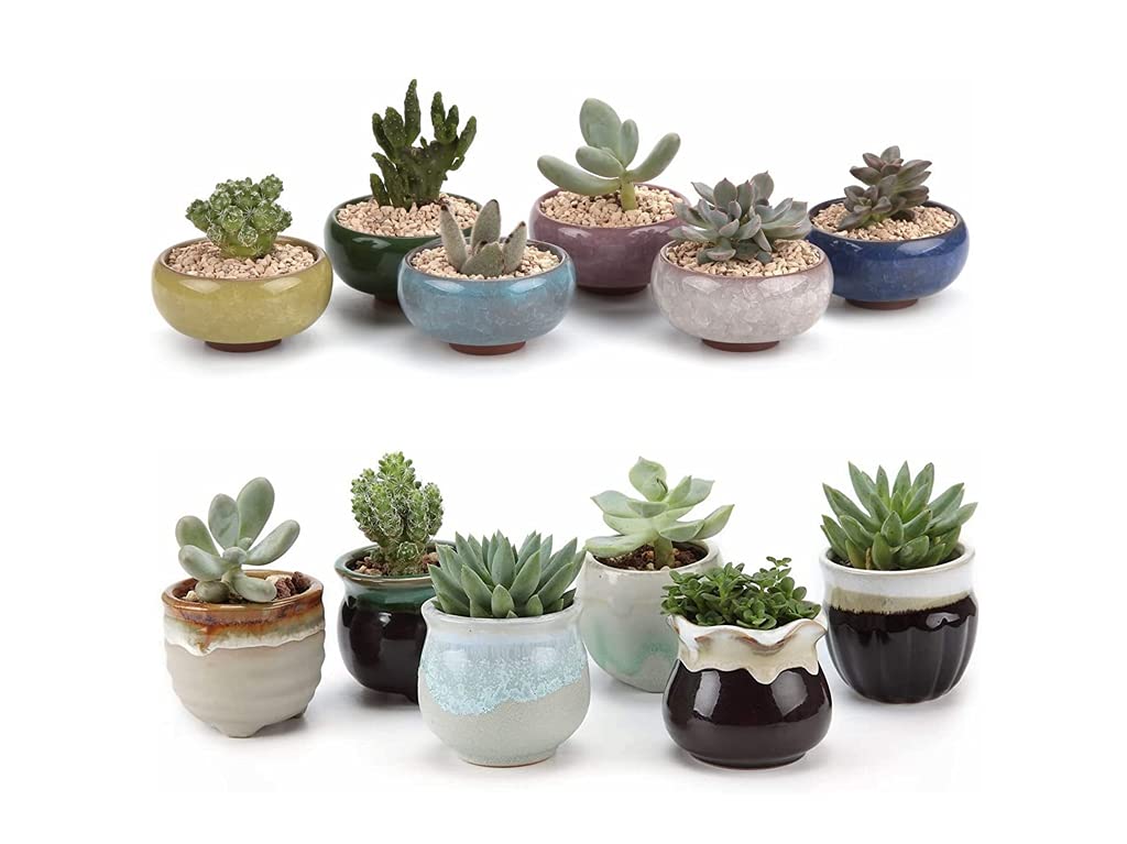 T4U Small Ceramic Succulent Pots with Drainage Hole Set of 12, Mini Porcelain Planters, Air Plant Flower Pots, Cactus Faux Plants Containers, Home and Office Decor Gift