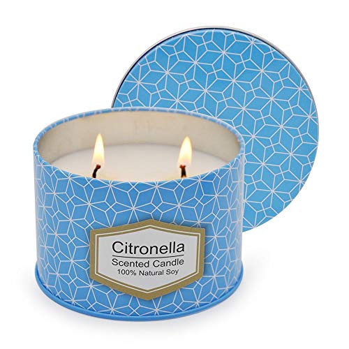 Laskey 2-Wick Citronella Candles Indoor and Outdoor, 10 oz Scented Candle Natural Soy