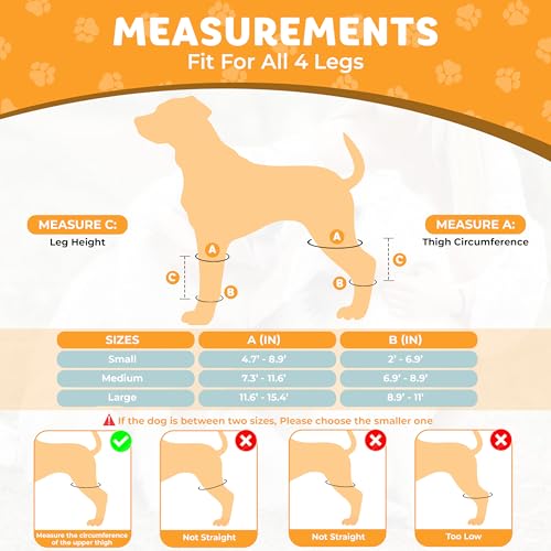 Image of New Dog Knee Brace for Luxating Patella, ACL or Cruciate Ligament Injury Recovery, Osteoarthritis, Hip Dysplasia, or Arthritis Pain Relief, Flexible Spring Support (Medium)