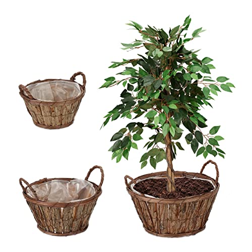 How to buy large tree pots for your garden