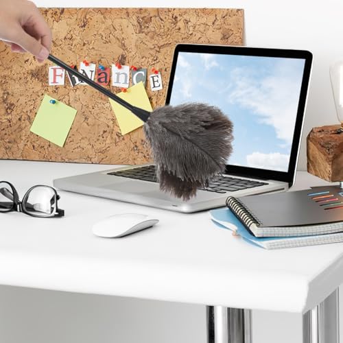 Image of iplusmile Ostrich Duster with Long Handle Lightweight Natural Cleaning Tool for Dusting Home Office Car Kitchen