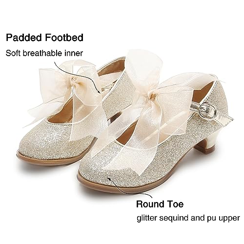 Image of THEE BRON Girls Low Heel Dress Shoes Mary Jane Party Wedding Flower Girl Pumps