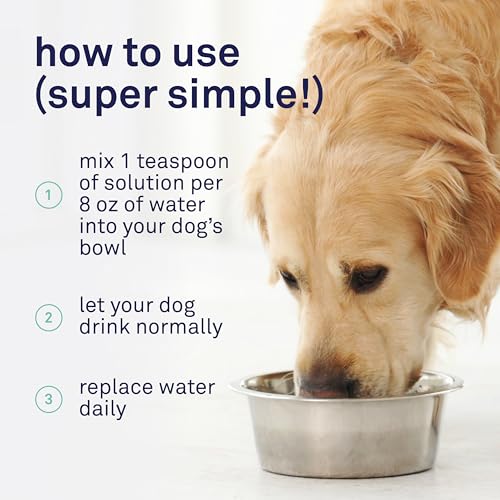 Petpost | Dental Solution for Dogs - Water Additive that Eliminates Bad Breath - Dirt, Gunk, and Tooth Buildup Gone - Natural Tooth Cleaning Solution 16 oz.