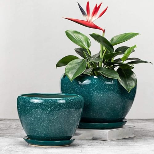 Pot de fleurs rond en céramique émaillée vert avec soucoupe