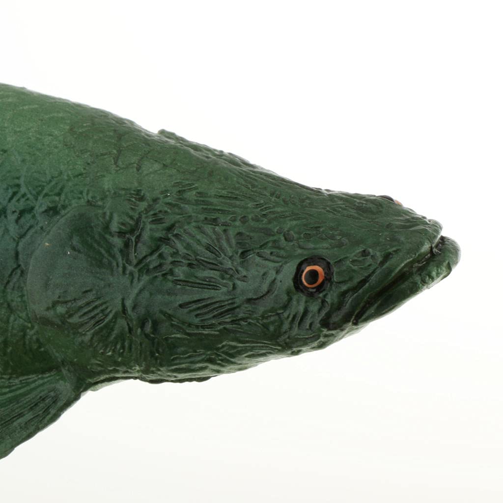 【美品】82cm ピラルク（樹脂製）fish craft REAL製作 82cm ピラルク 魚フィギュア 立体・オブジェ fish craft