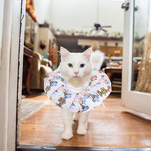 POPETPOP Recuperação de Filhotes de Gatos Colarinho Colarinho Pet Ajustável Pescoço Cone Após UMA Ci