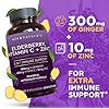 Viva-Naturals-Elderberry-Vitamin-C-Zinc-Vitamin-D-5000-IU-Ginger-Antioxidant-Immune-Support-Supplement-2-Month-Supply-120-Capsules-5-in-1-Daily-Immune-Support-for-Adults Viva Naturals Elderberry with Vitamin C and Zinc for Adults - 5 in 1 Sambucus Black Elderberry Capsules with Vitamin D3 5000 IU, Elderberries Immune Support Supplement 2 Months Supply Pills