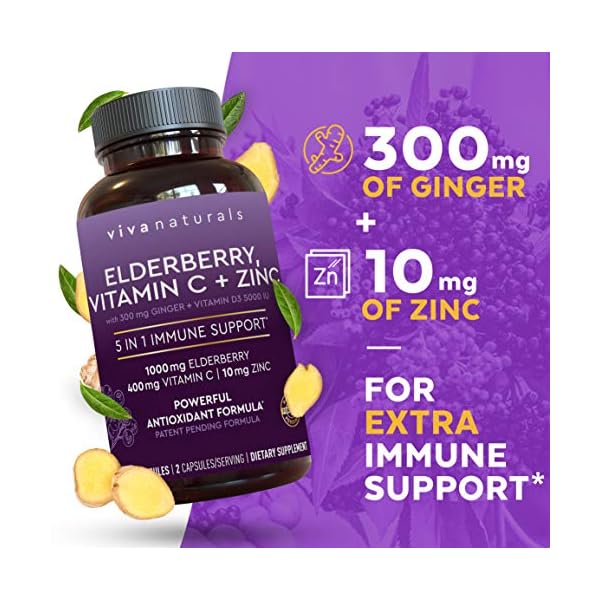 Viva-Naturals-Elderberry-Vitamin-C-Zinc-Vitamin-D-5000-IU-Ginger-Antioxidant-Immune-Support-Supplement-2-Month-Supply-120-Capsules-5-in-1-Daily-Immune-Support-for-Adults Viva Naturals Elderberry with Vitamin C and Zinc for Adults - 5 in 1 Sambucus Black Elderberry Capsules with Vitamin D3 5000 IU, Elderberries Immune Support Supplement 2 Months Supply Pills