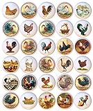 10 Best Rooster Knobs Or Pulls For Cabinets And Drawers 4 Set of 30 KNOBS - Chickens Roosters Chicks Chicken - Decorative Ceramic Dresser Drawer PULLS Cabinet Cupboard KNOBS