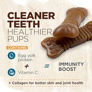 Natural farm all natural dog dental chew dog teeth cleaning treats  fresh breath fight plaque  tartar  canine mess free oral care teeth cleaning chews for dogs 15 25 lbs 60 counts   cucciolini doodles