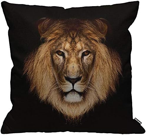 HGOD DESIGNS Cushion Cover Ethnic Aztec Ethnic Pattern Design Throw Pillow Cover Home Decorative for Men/Women/Boys/Girls living room Bedroom Sofa Chair 18X18 Inch Pillowcase