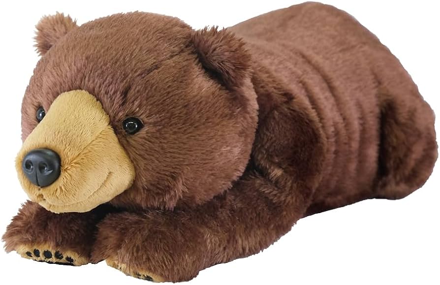 51czNbBbxGL._AC_UF894,