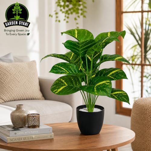 Image of Artificial Calathea Orbifolia Plant with Black Pot - 75 cm Tall Faux Tropical Decorative Plant with 18 Leaves for Home, Office, Balcony & Living Room Decor