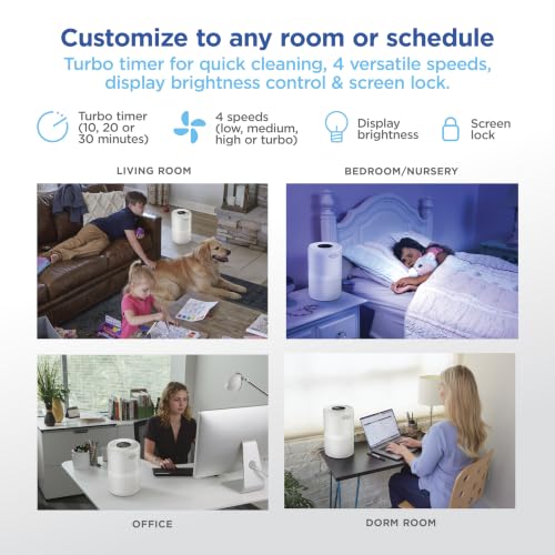 Clorox Medium Room Turbo Air Purifiers for Home With True HEPA Filter - image 7