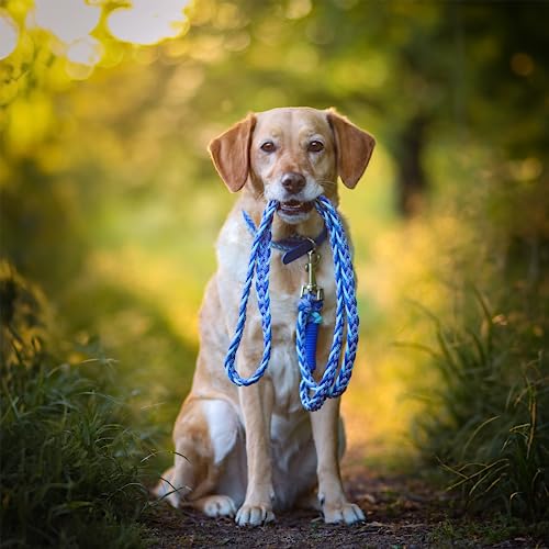 FairPaw Paracord Hundeleine geflochten - 1,8m Hunde Leine verstellbar mit 2 Karabiner, Leine Hund Große Hunde, Hundeleinen, Dog Leash, Führleine Hund, Bissfeste Hundeleine zum Umhängen, Trainingsleine