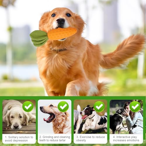 Shengxi Quietschendes Hunde Kauspielzeug Karotte Hundespielzeug Gummi Hunde Zahnreinigungs Spielzeug für Aggressive Kauer Unzerstörbares Interaktives Hundespielzeug für Alle Rassengrößen