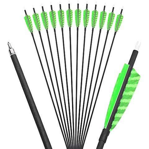 ZSHJGJR 12 Stück Carbon Pfeile 31 Zoll Cover