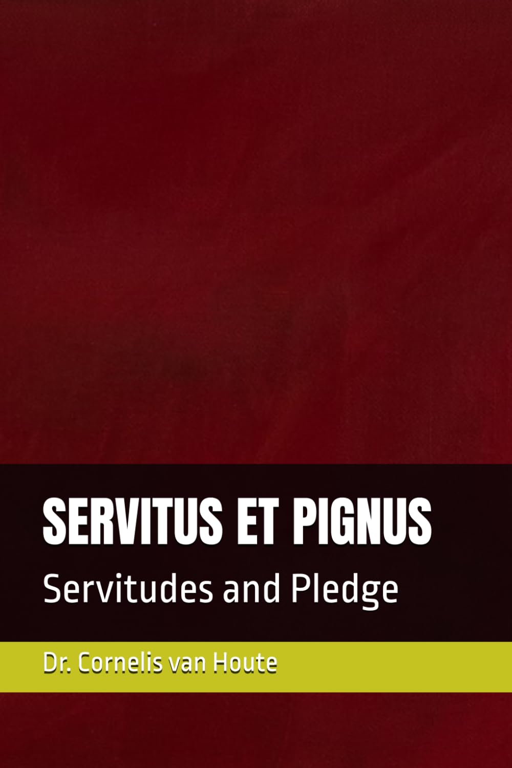 SERVITUS ET PIGNUS: Servitudes and Pledge: 6 (Roman Law Series)