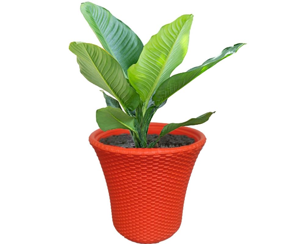 Red Plastic Pots - 3 Pack 12 Inch Durable Planters -3 Red Plastic Pots - 3 Pack 12 Inch Durable Planters -3