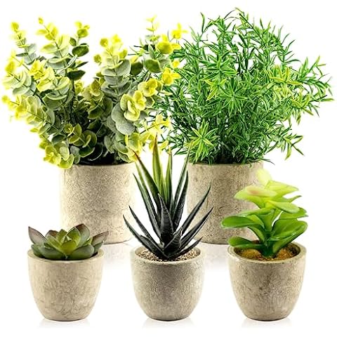 TRNZ Decorative Artificial Plants Set of 5 Cover