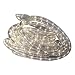 Direct-Lighting GRL-24-WW Warm White 24ft LED Rope Light