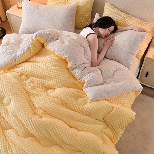 Edredón Grueso Y Cálido De Invierno, Edredón Con Relleno De Fibra De Soja Súper Suave, Ropa De Cama De Lujo Edredón Acolchado Manta De Tela De Algodón Esponjosa De Doble Cara for Clima Frío(E,200x230c