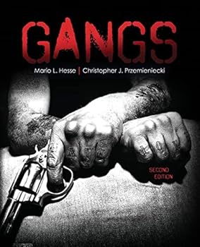 Paperback Gangs Book