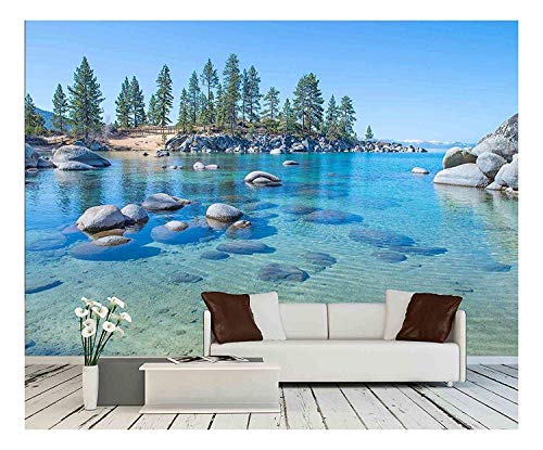 wall26 - Close-Ups of Lovely Dahlia - Flowers and Plants - Removable Wall Mural  Self-Adhesive Large Wallpaper (100"x144", Beautiful Blue Clear Water)