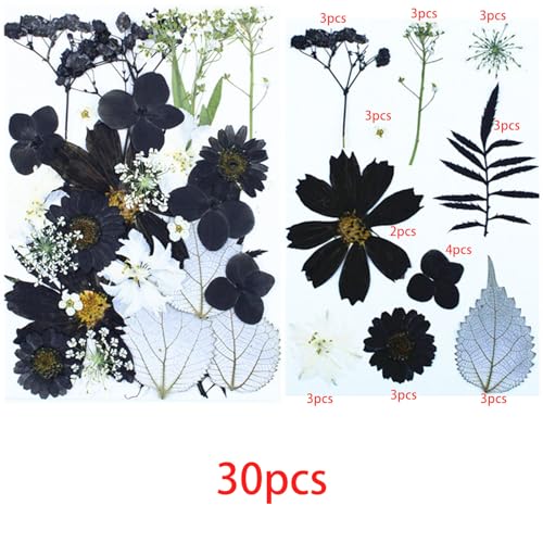 Cayway 2 Pack Dried Pressed Flowers for Resin Molds Black Real Pressed Flowers Dry Leaves Kit Natural Dried Pressed Leaves for Art Crafts Resin Scrapbook Supplies Soap Candle DIY - Image 3