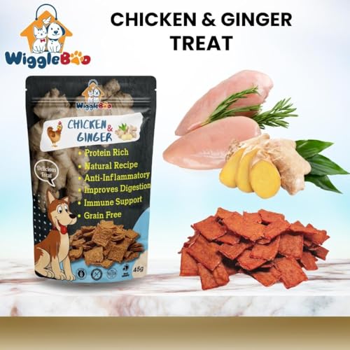 Image of Chicken & Ginger Treat for Dog | Mega Pack | Protein Rich | Anti-Inflammatory | Crunchy Healthy Snacks | (45Grm)