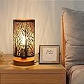 Black Industrial Table Lamp Stepless Dimmable,Small Bedside Lamps for Night Stand Desk, Rustic Bed nightstand lamp with Romantic Metal Cage Lampshade for Bedroom, Living Room Home Decor with led Bulb