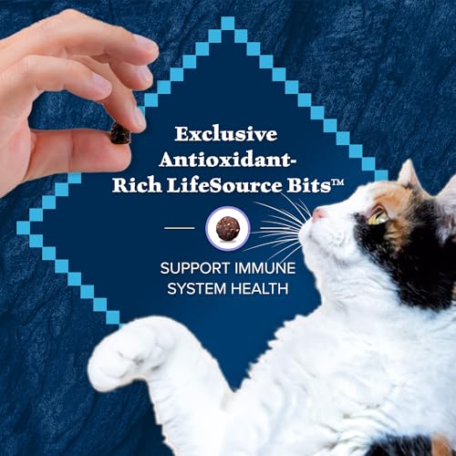 Blue Buffalo Wilderness Chicken Kitten Dry Cat Food, Grain-Free, 2 lb - image 8