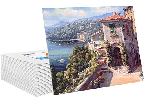 Image of FIXSMITH Painting Canvas Panels- 24 Pack Canvas Board,8x10 Inch Primed Canvases,Classroom Pack,100% Cotton Canvas Panel,Acid Free,Artist Canvas Boards for Professionals,Hobby Painters,Students & Kids.