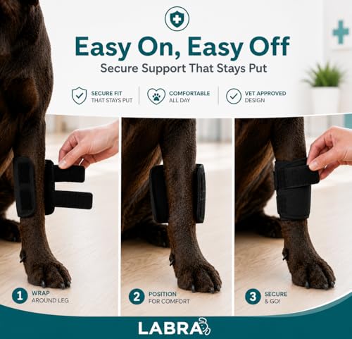 Image of Labra Dog Front Leg Brace - Compression Wrap with Adjustable Straps - Dog Wrist Brace for Support - Leg Sleeve to Stop Licking - Aid in Wound Care and Recovery - Large /Extra Large (Pack of 2)