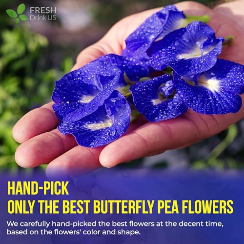 Image of FreshDrinkUS, Premium 100 Blue Butterfly Pea Flowers Tea Bags, 100% Natural and Pure from Butterfly Pea Flowers, Made With Natural Material Tea Bag, No Sugar, No Caffeine, No Gluten, Vegan