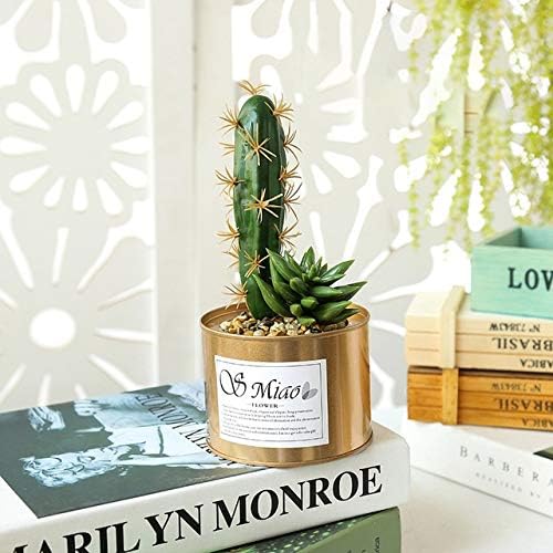 人工鉢植え サボテンdecoracions緑plantas Artificialesパラdecoracion人工多肉植物のフェイク植物ポットハウス植物盆栽と 春の新作続々 屋内卓上装飾 Jstpgxrzzhpj Color