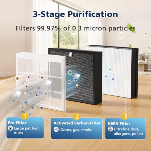 Image of Airmega Mighty2 Replacement Filter for Coway Mighty2 AP-1512N Air Purifier