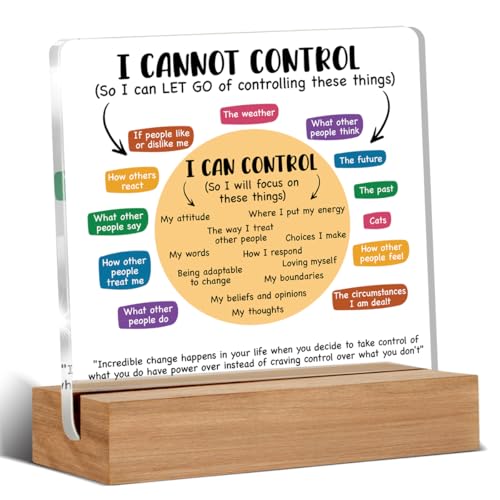 Inspirational Mental Health Desk Decor Things I Can Control Acrylic Plaque Sign With Wooden Stand Decoration for Therapy Office School Living Room Bedroom