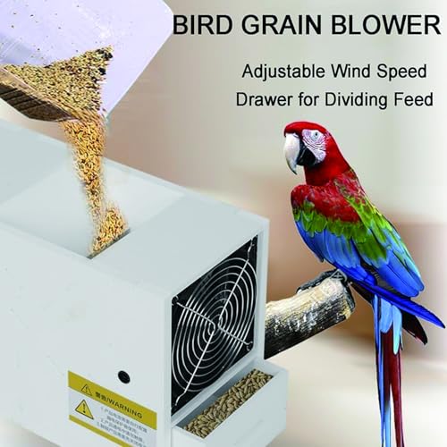 Machine de soufflage électrique pour trier haricots, riz et millet