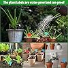 Plant Labels Tags 200Pcs T-Type Plant Markers Plastic Plant Label Tags Garden Labels Tags Plant Labels for Outdoor Garden Waterproof Plant Label Identification Stakes with Permanent Marking Pen(Black) #4