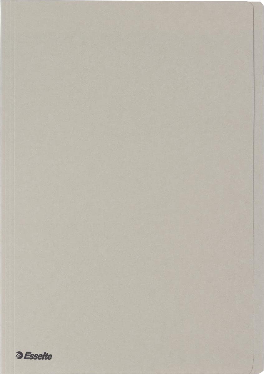 Esselte 1032407 Cartone Grigio cartella