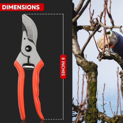Image of YIYITOOLS Pruning Shears, One-Hand Garden Shears, Gardening Hand Tools Tree Trimmers with Rubber Handles, Pruning Scissors with Titanium Coated Stainless Steel Blades, Gift For Gardeners