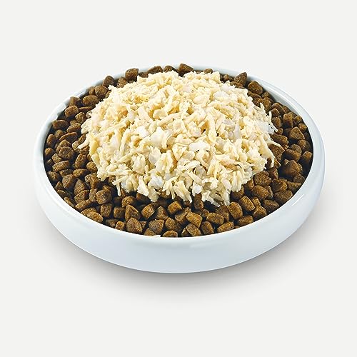 Applaws Wet Puppy Food, Hühnerbrust mit Reis in Brühe für Junge Hunde - Packung mit 8 x 156g Dosen