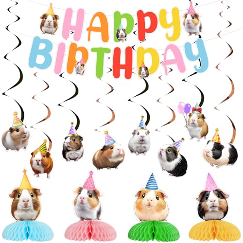 Kit anniversaire cochon d'inde pour décorer facilement une fête sans perdre de temps
