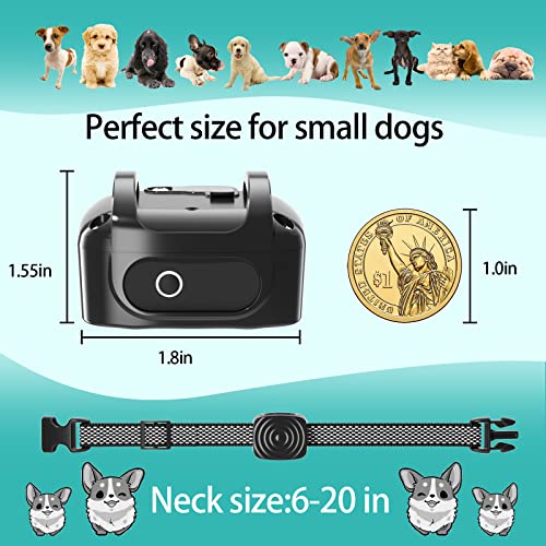 Bark Collar For Small Dogs 5-15Lbs Small Dog Bark Collar No Shock Bark Collar Rechargeable Anti Bark Collar Shockless With Adjustable Sensitivity And Intensity Beep Bark Collar For Small Medium Dogs #TOP1