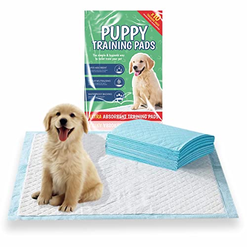 Puppy Training Pads Disposable Absorbent Mat Pet Toilet Pee And Potty Pad Quick Dry Locking Anti Slip Waterproof Backing Triple Layered Mats For Younger Pets Dog Essentials size (50cm X 40cm, 10)