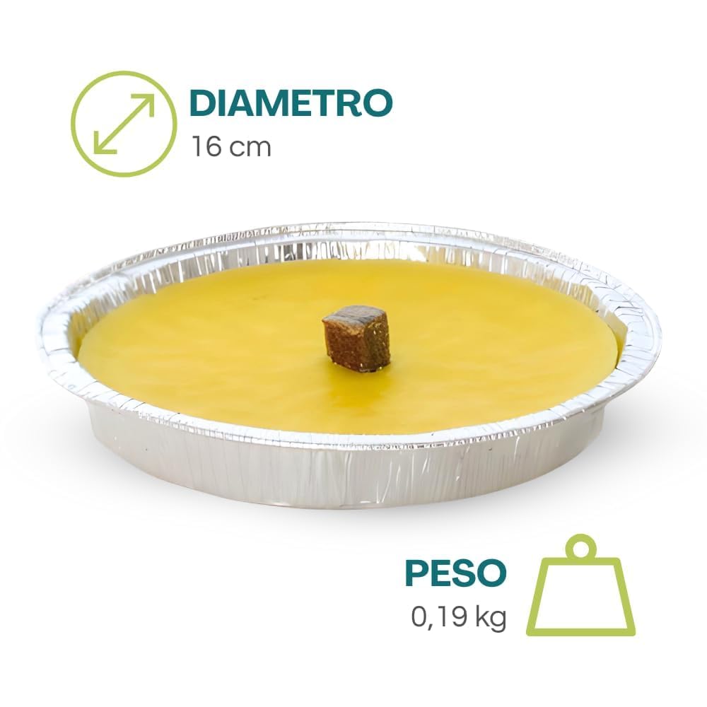 Palucart candela citronella giardino citronella alluminio 16 cm set da 10 pezzi giardinaggio antizanzare feste ed eventi
