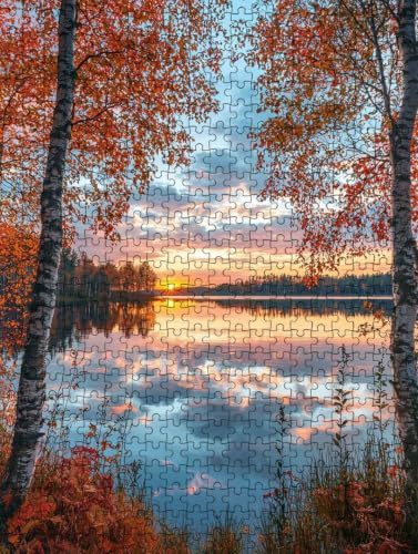 Juego Educativo Puzzle 6000 Piezas Paisaje Regalo de Cumpleaños Adulto