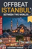 Offbeat Istanbul: Between Two Worlds: Inside the Hidden Heart of the City — A Journey Through Real Lives, Quiet Streets, and Istanbul’s Unseen Tomorrow (Traveler's Compass Companion)