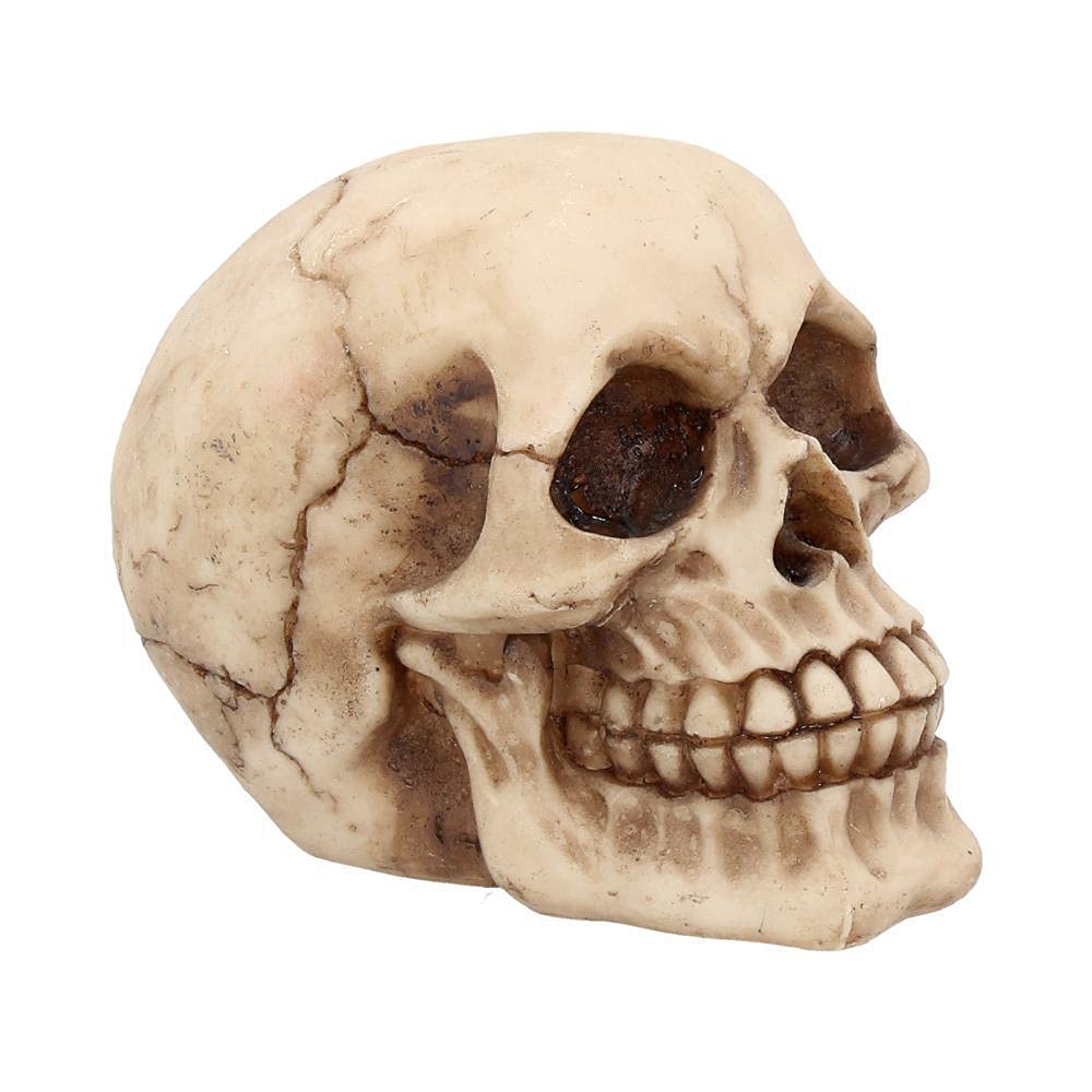 Nemesis Now Ivory Joker Figurine 11Cm
